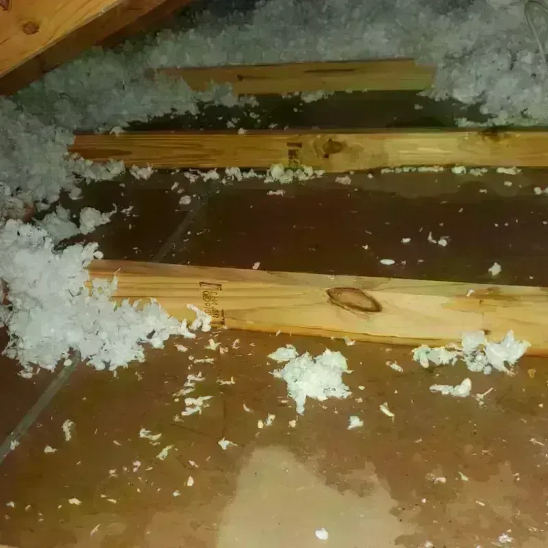 Attic Water Damage in Chase County, NE